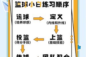 如何通过数据分析帮助新手篮球玩家提升训练效果